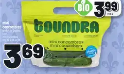 Metro MINI CONCOMBRES | MINI CUCUMBERS offer