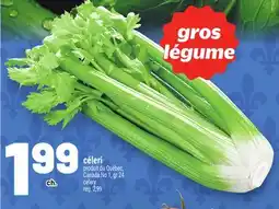 Metro CÉLERI | CELERY offer