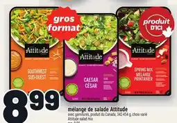 Metro MÉLANGE DE SALADE ATTITUDE | ATTITUDE SALAD MIX offer