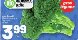 Metro GROS BROCOLI | LARGE BROCCOLI offer