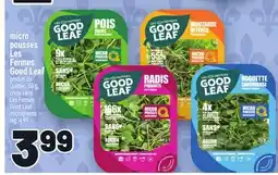Metro MICRO POUSSES LES FERMES GOOD LEAF | GOOD LEAF MICROGREENS offer
