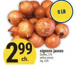 Marché Adonis OIGNONS JAUNES | YELLOW ONIONS offer