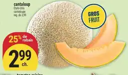 Marché Adonis CANTALOUP | CANTALOUPE offer