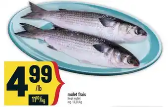 Marché Adonis MULET FRAIS | FRESH MULLET offer