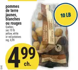 Marché Adonis POMMES DE TERRE JAUNES, BLANCHES OU ROUGES | YELLOW, WHITE OR RED POTATOES offer