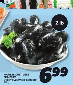 IGA FRESH CULTIVATED MUSSELS offer
