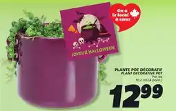 IGA PLANT DECORATIVE POT offer