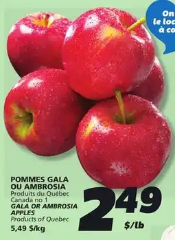 IGA GALA OR AMBROSIA APPLES offer