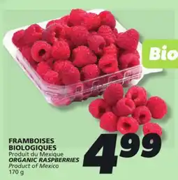 IGA ORGANIC RASPBERRIES offer