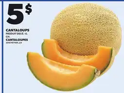 Provigo CANTALOUPES offer