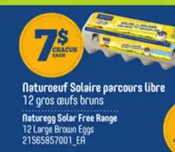 Provigo NATUREEGG SOLAR FREE RANGE, 12 LARGE BROWN EGGS offer