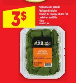 Maxi MÉLANDE DE SALADE ATTITUDE FRAÎCHE, 142 G offer