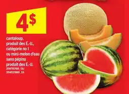 Maxi CANTALOUP OU MINI-MELON D'EAU SANS PÉPINS offer