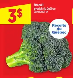 Maxi BROCOLI offer