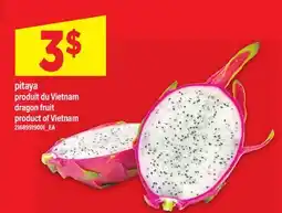 Maxi PITAYA | DRAGON FRUIT offer