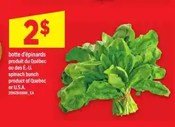 Maxi SPINACH BUNCH offer