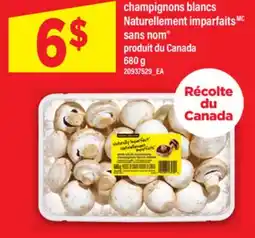 Maxi CHAMPIGNONS BLANCS NATURELLEMENT IMPARFAITS SANS NOM , 680 G offer