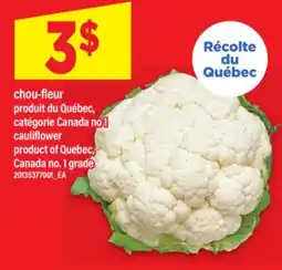 Maxi CHOU-FLEUR | CAULIFLOWER offer