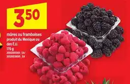 Maxi MÛRES OU FRAMBOISES, 170 G offer