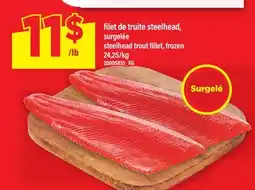 Maxi FILET DE TRUITE STEELHEAD | STEELHEAD TROUT FILLET offer