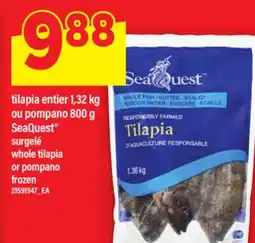 Maxi TILAPIA ENTIER 1,32 KG OU POMPANO 800 G SEAQUEST | WHOLE TILAPIA OR POMPANO offer