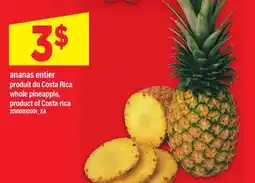 Maxi ANANAS ENTIER | WHOLE PINEAPPLE offer