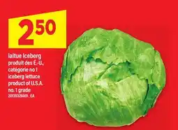 Maxi LAITUE ICEBERG | ICEBERG LETTUCE offer
