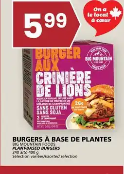 Rachelle-Bery Grocery BIG MOUNTAIN FOODS PLANT-BASED BURGERS offer