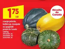 Maxi COURGE POIVRÉE, BUTTERCUP, MUSQUÉE OU SPAGHETTI offer