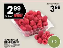 Rachelle-Bery Grocery ORGANIC RASPBERRIES offer