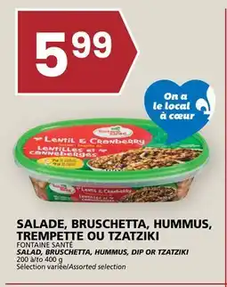 Rachelle-Bery Grocery FONTAINE SANTÉ SALAD, BRUSCHETTA, HUMMUS, DIP OR TZATZIKI offer