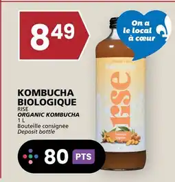 Rachelle-Bery Grocery RISE ORGANIC KOMBUCHA offer