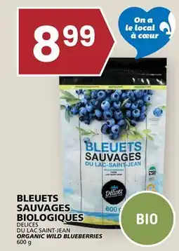 Rachelle-Bery Grocery DELICES DU LAC SAINT-JEAN ORGANIC WILD BLUEBERRIES offer