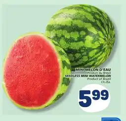 Marché Bonichoix SEEDLESS MINI WATERMELON offer