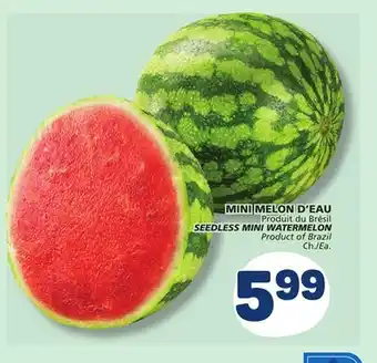 Marché Bonichoix SEEDLESS MINI WATERMELON offer