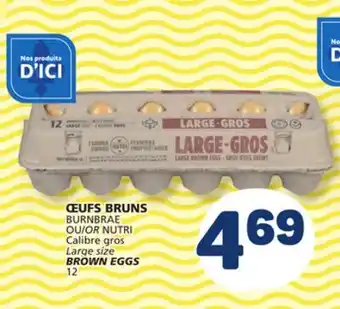 Marché Bonichoix BURNBRAE OR NUTRI Large size BROWN EGGS offer