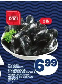 Marché Bonichoix FRESH CULTIVATED MUSSELS OR ORGANIC MUSSELS offer
