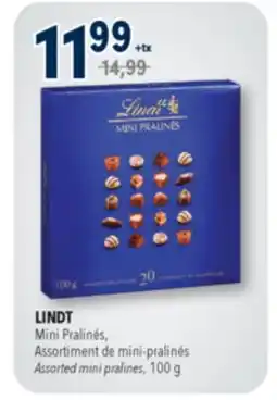 Familiprix LINDT Mini Pralinés, Assorted mini pralines, 100 g offer