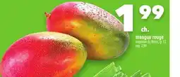 Marche Ami Mangue rouge offer