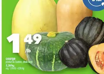 Marche Ami Courge offer