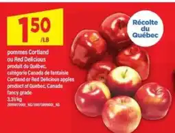 Maxi pommes Cortland ou Red Delicious offer