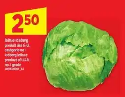 Maxi laitue Iceberg offer