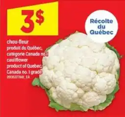 Maxi CHOU-FLEUR offer