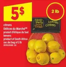 Maxi CITRONS offer