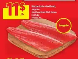 Maxi Filet de truite steelhead surgelée offer