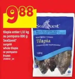 Maxi SeaQuest offer