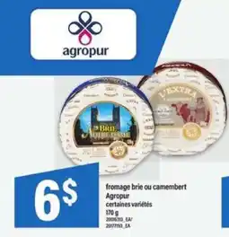 Maxi fromage brie ou camembert offer