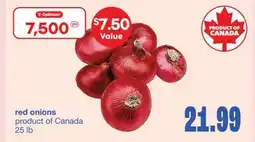Wholesale Club Red onion offer