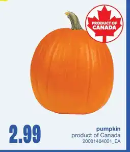 Wholesale Club PUMPKIN offer