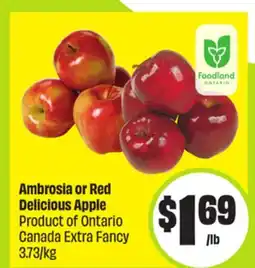 FreshCo Ambrosia or Red Delicious Apple Product of Ontario Canada Extra Fancy 3.73/kg offer
